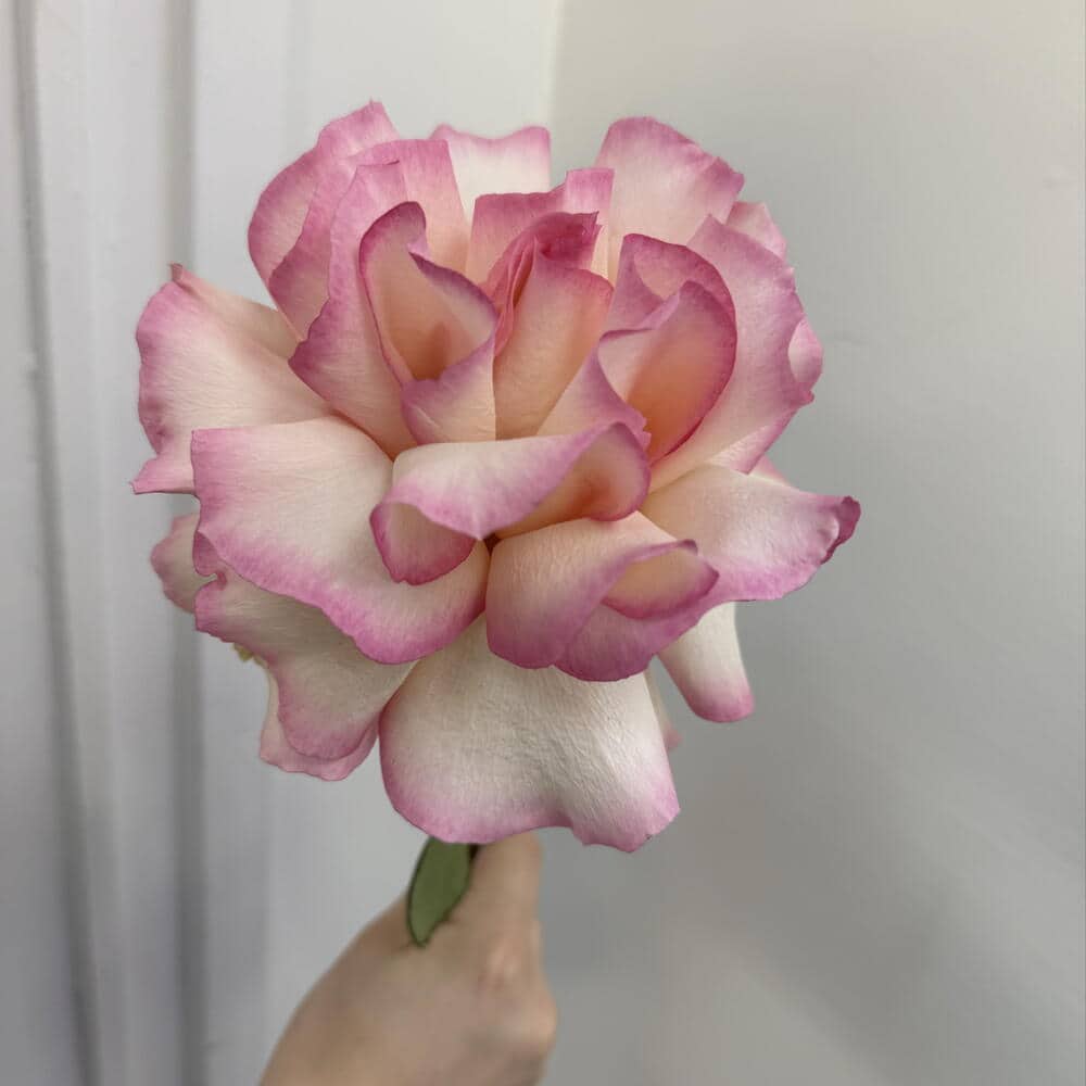 Французская роза 50 см🌹