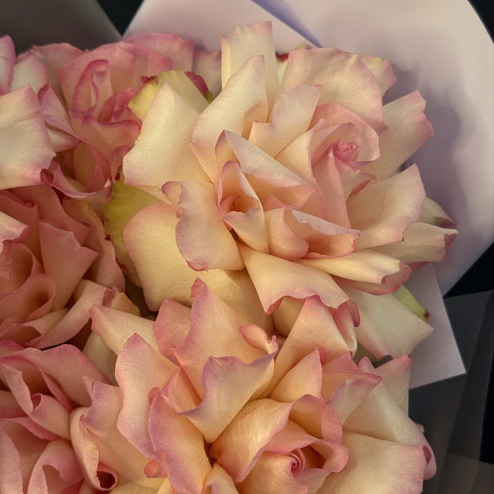 Монобукет «Счастливое число💐» из 7 французских роз — фото 3