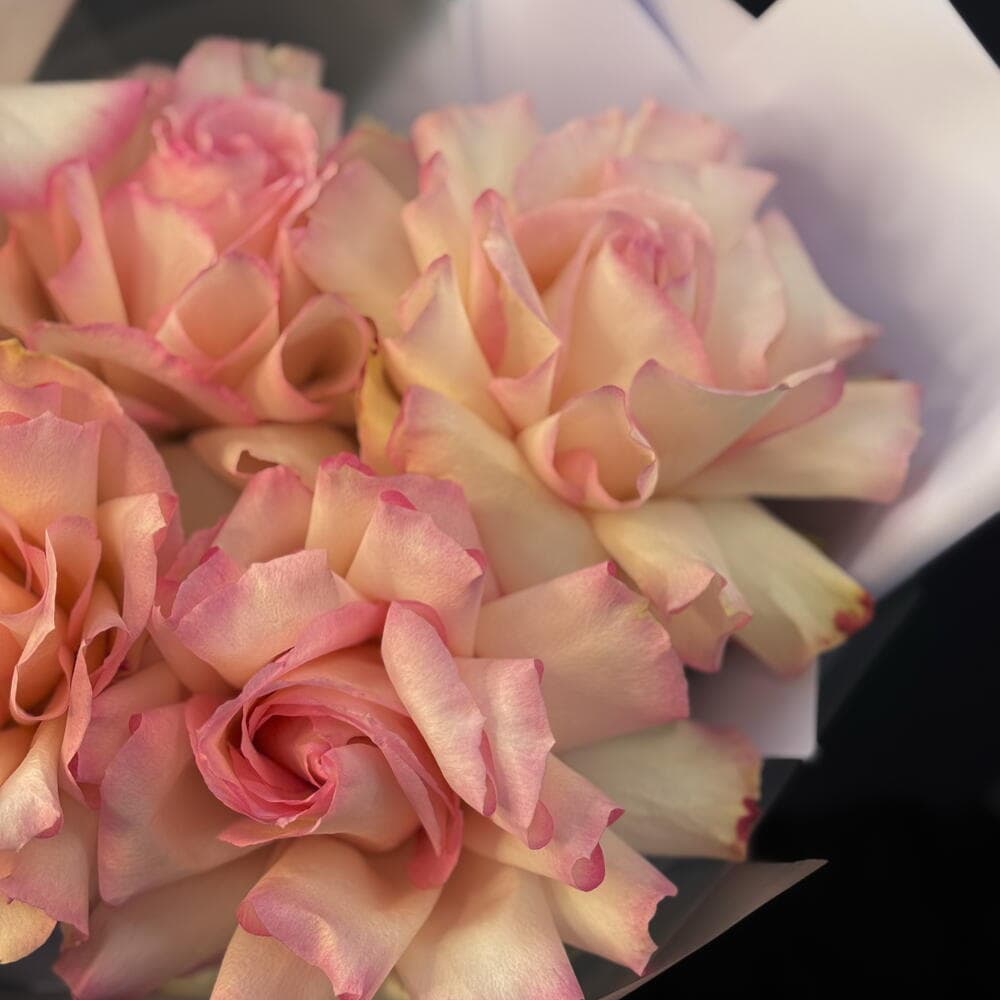 «Пять причин💐» — монобукет из 5 французских роз 50 см — фото 4