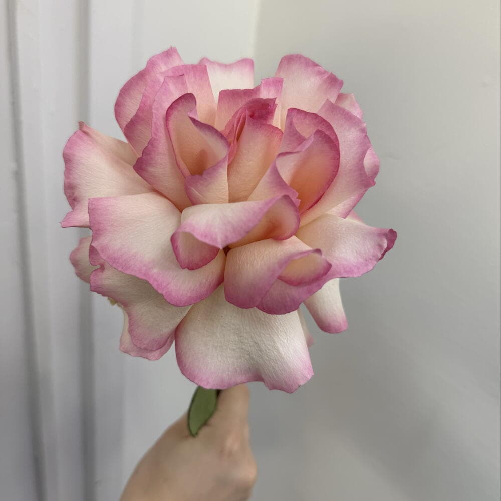 Французская роза 50 см🌹 — фото 1