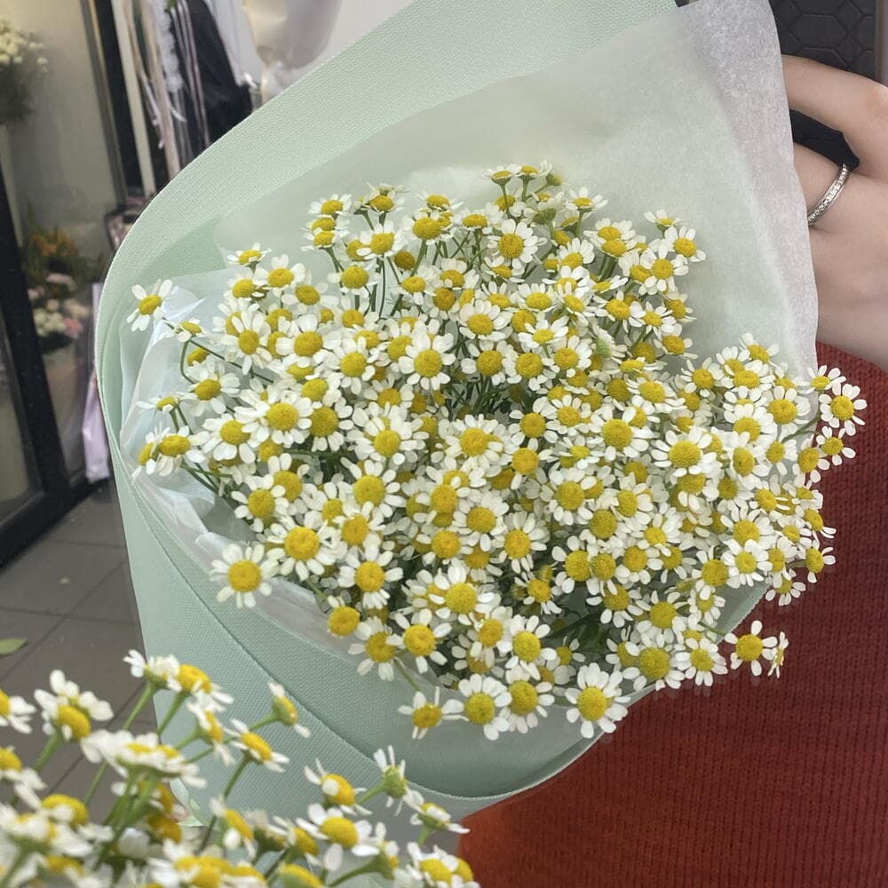 Кулёк ромашек 🥰 — фото 2
