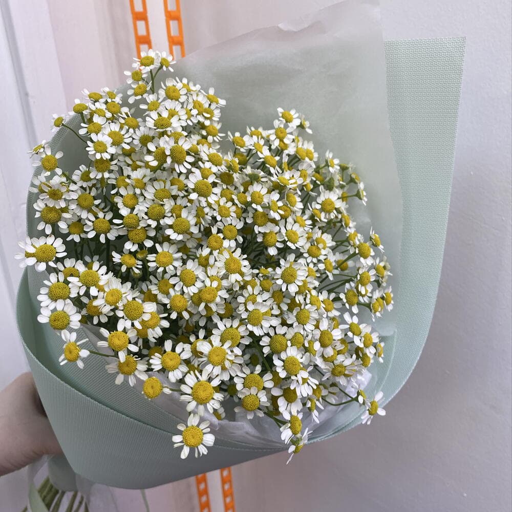 Кулёк ромашек 🥰 — фото 3