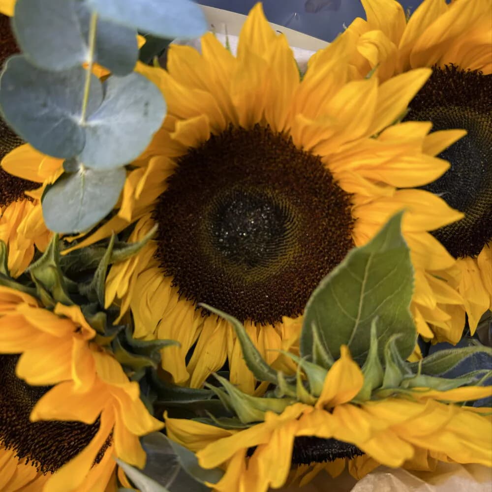 «Мой август»🌻 — 5 подсолнухов с эвкалиптом — фото 5