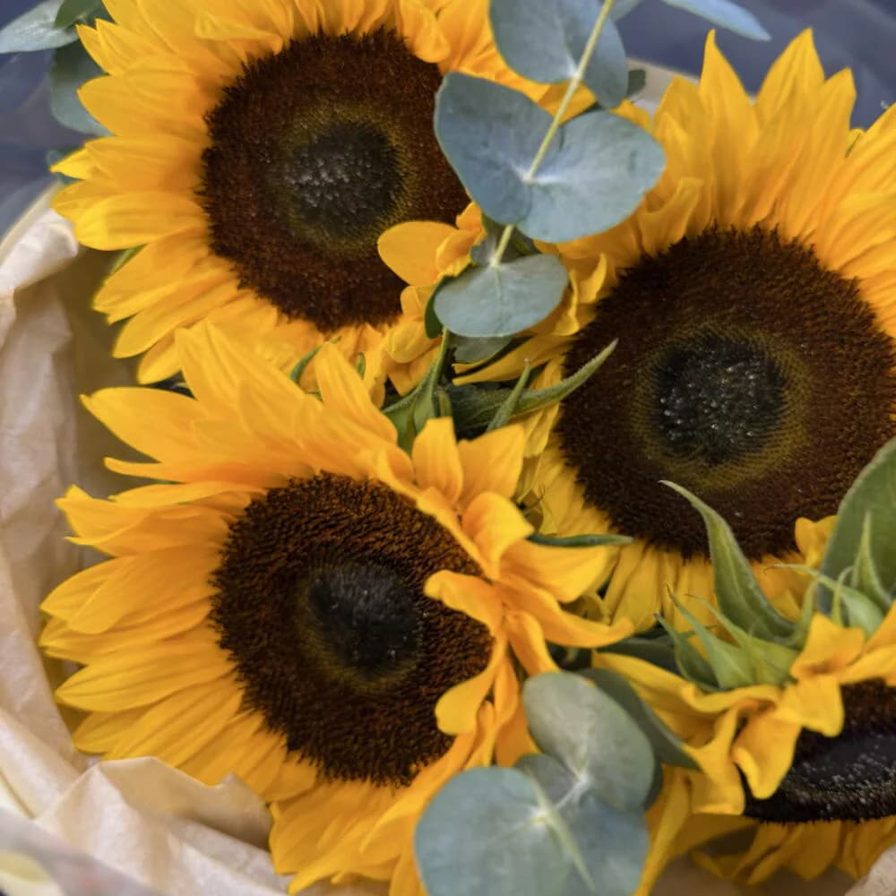 «Мой август»🌻 — 5 подсолнухов с эвкалиптом — фото 6
